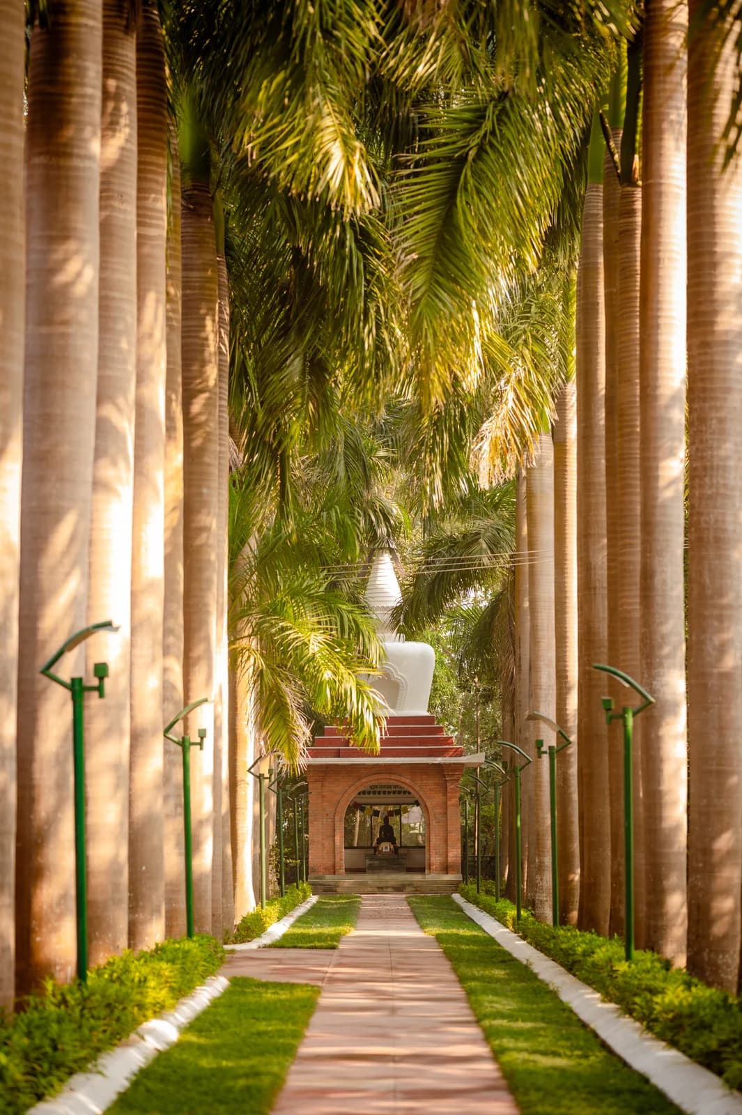 Buddha Maya Gardens