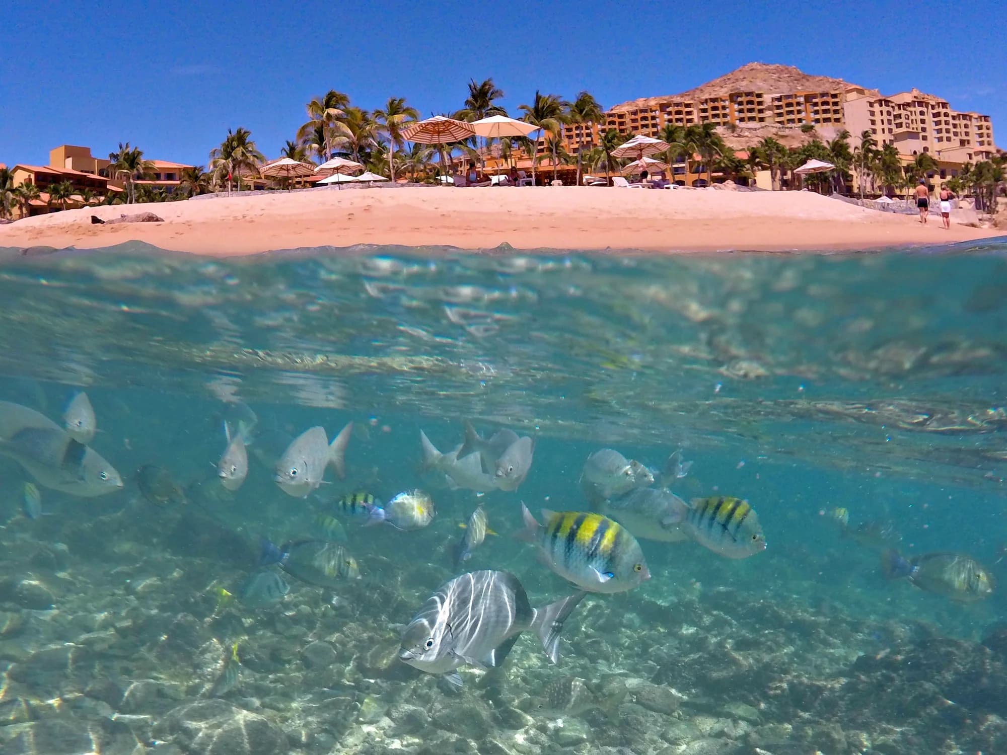 Grand Fiesta Americana Los Cabos All Inclusive Golf and Spa